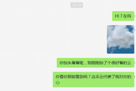 石鼓如果欠债的人消失了怎么查找，专业讨债公司的找人方法